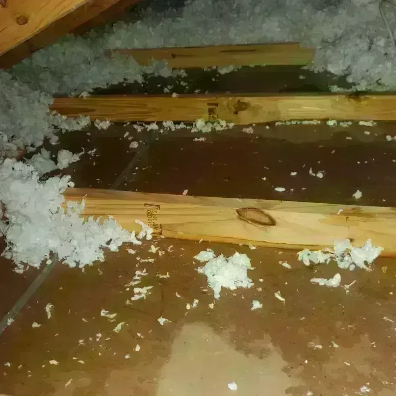 Attic Water Damage in Nassau Bay, TX