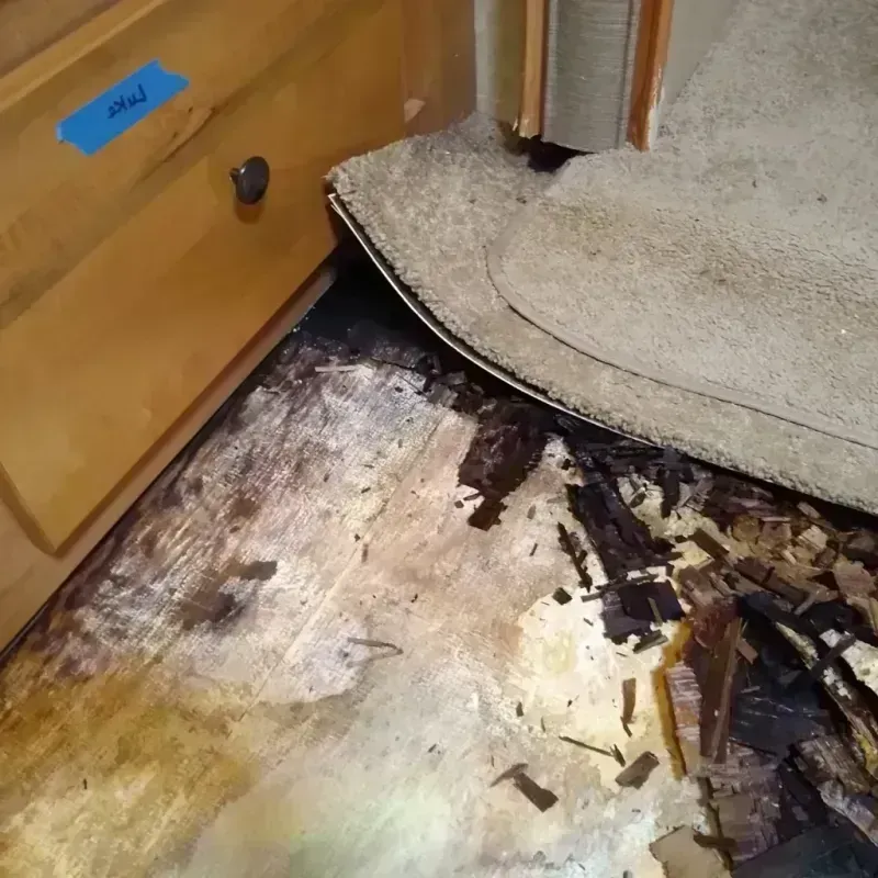 Wood Floor Water Damage in Nassau Bay, TX